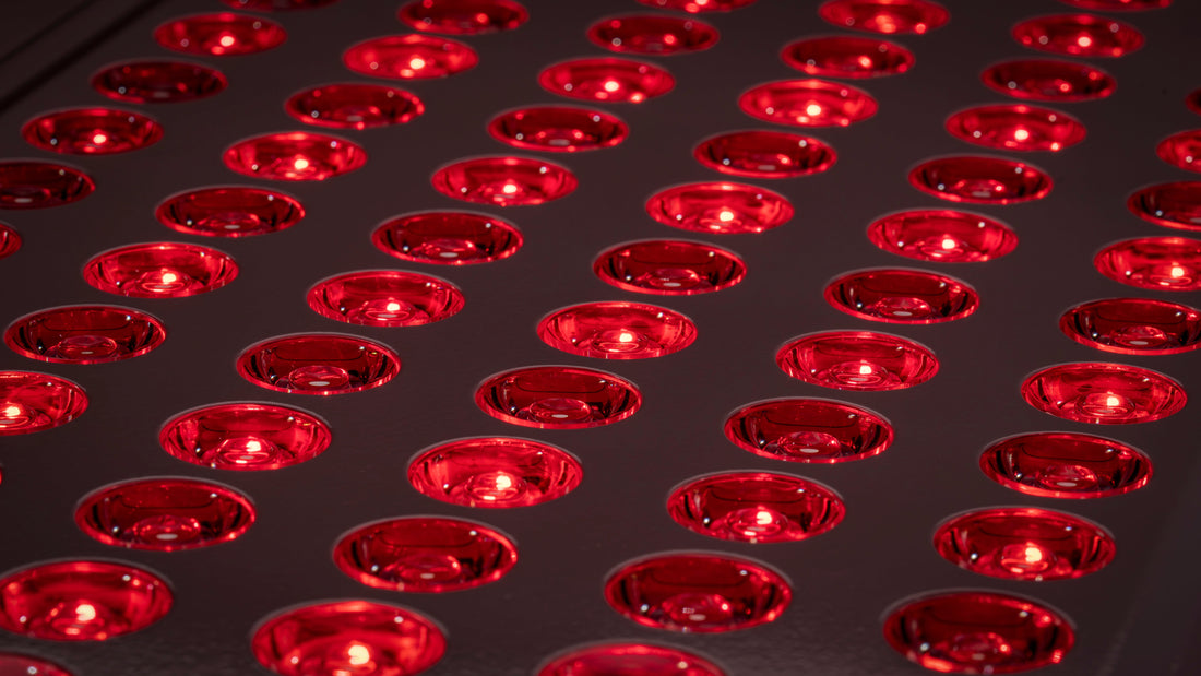 Red Light Therapy and sperm health