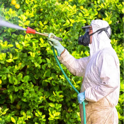Man spraying pesticides
