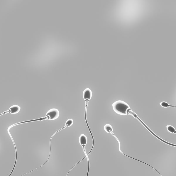 An image showing sperm
