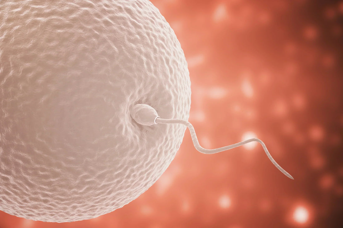 Boosting chances of conception