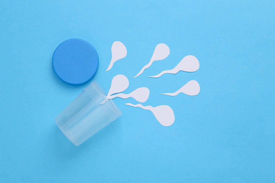 The Dos and Don’ts Before and During Sperm Analysis Testing