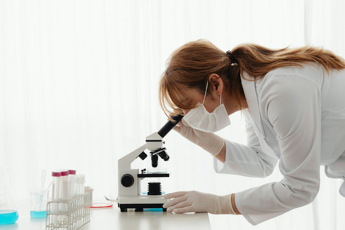 Sperm Morphology Explained: What Your Results Mean and Can You Improve It?