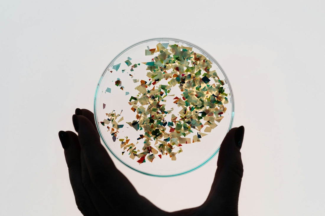 Microplastics in Testicles: What Research Shows for Male Fertility