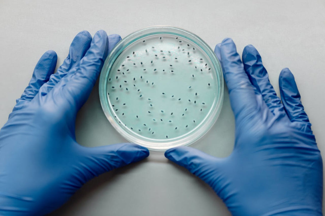 Sperm Analysis vs At-Home Collection: What’s the Difference?