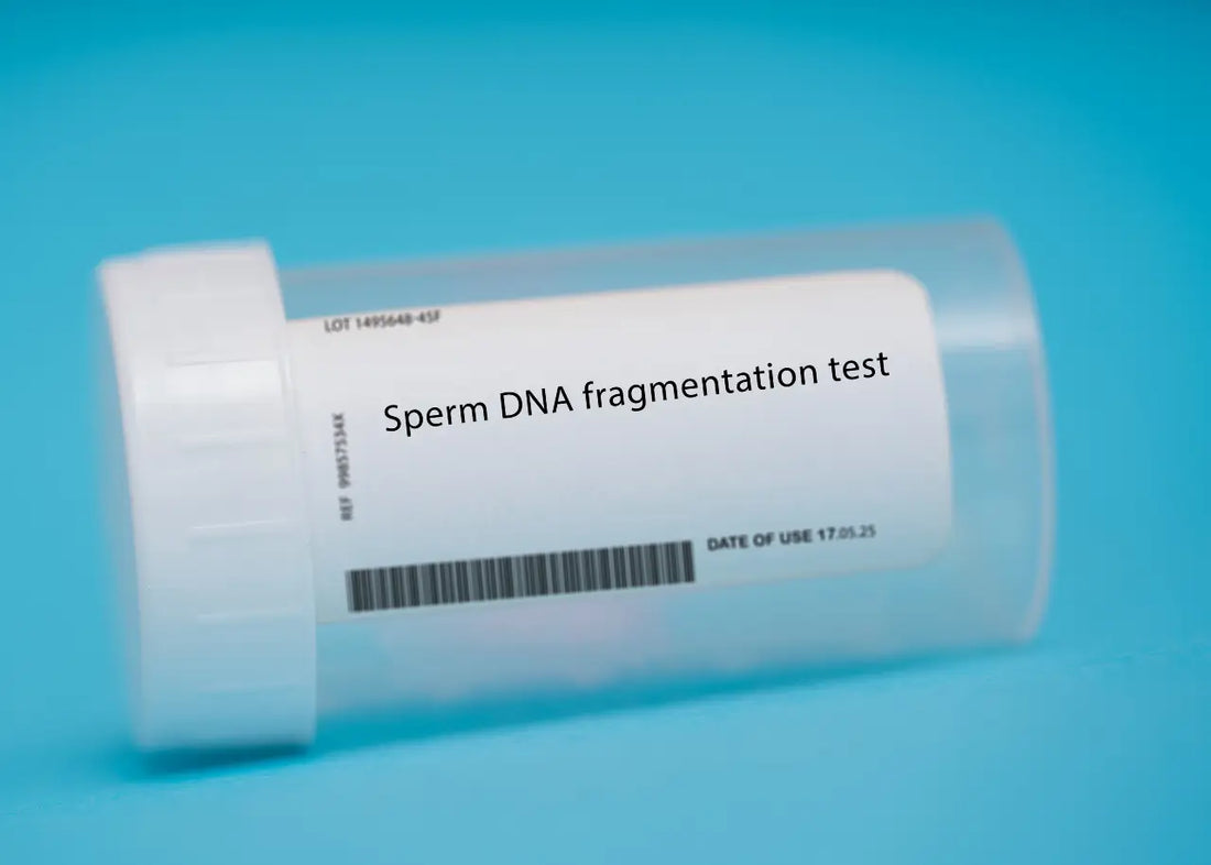 Sperm DNA Fragmentation: Why It Matters for Fertility