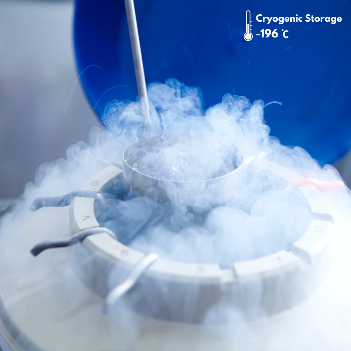 Cryogenic storage tank for CryoChoice Sperm Collection