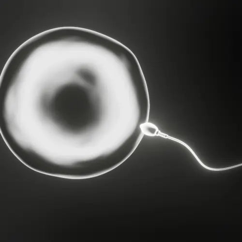 Sperm Inseminating an egg